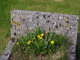 image of grave number 831507